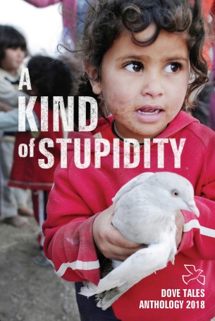 A Kind of Stupidity cover.indd